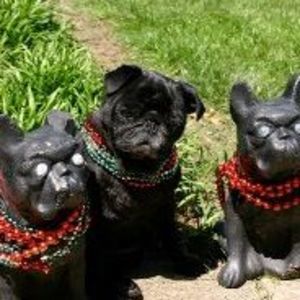 Meet your Posher, Stefanie